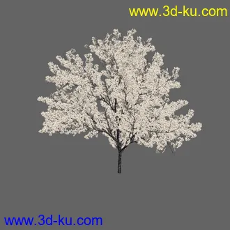 绿色植被 3d模型 Greenworks Xfrog Plants Blossoming-Iso的图片