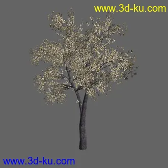 绿色植被 3d模型 Greenworks Xfrog Plants Blossoming-Iso的图片