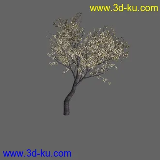 绿色植被 3d模型 Greenworks Xfrog Plants Blossoming-Iso的图片
