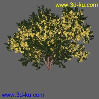 绿色植被 3d模型 Greenworks Xfrog Plants Blossoming-Iso的图片