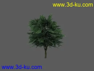3D打印模型三款不错的树 分享给大家 希望对大家有用处的图片