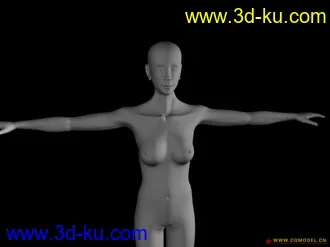 3D打印模型woman的图片