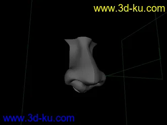 3D打印模型鼻子的图片