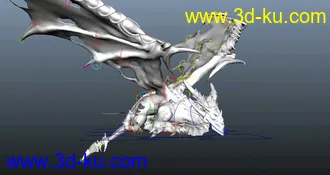 3D打印模型龙的图片