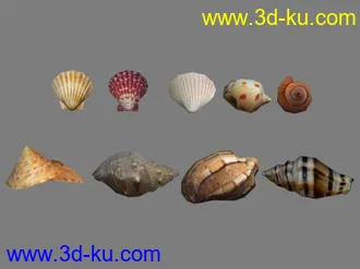 3D打印模型贝壳一套—小东西建模比较烦捡现成的省事的图片