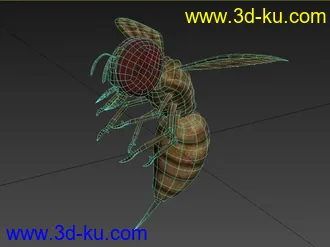 3D打印模型可怕的血黄蜂的图片