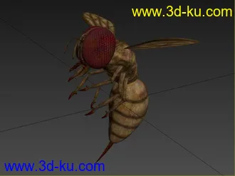 3D打印模型可怕的血黄蜂的图片