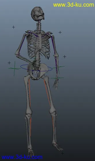 3D打印模型kulou的图片