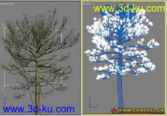 3D打印模型tree 10的图片