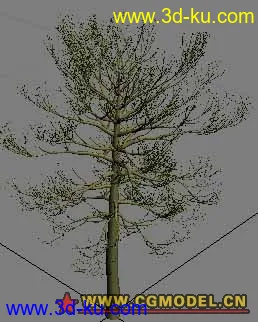 3D打印模型tree11的图片