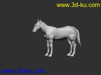 3D打印模型马的图片