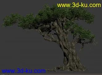 榕树模型2014版本的图片