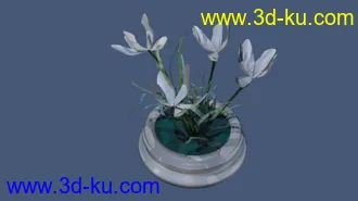 3D打印模型兰花的图片