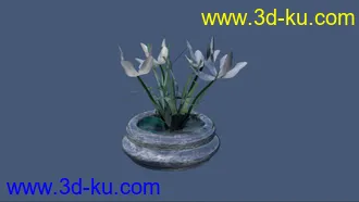 3D打印模型兰花的图片