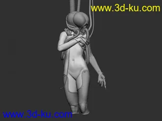 3D打印模型女机器人的图片