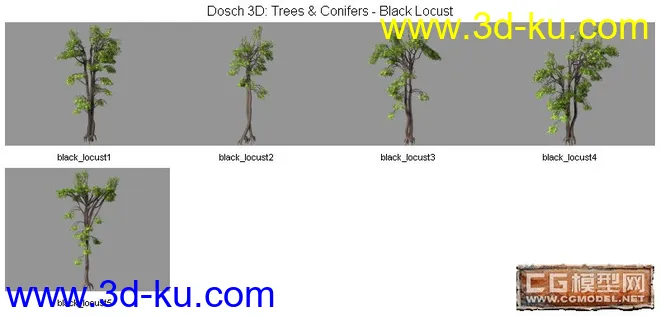 DOSCH精品树模型库(1)的图片1