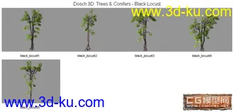 DOSCH精品树模型库(1)的图片