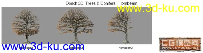 DOSCH精品树模型库(2)的图片1