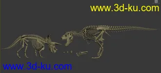 3D打印模型恐龙骨络恐龙骨络的图片