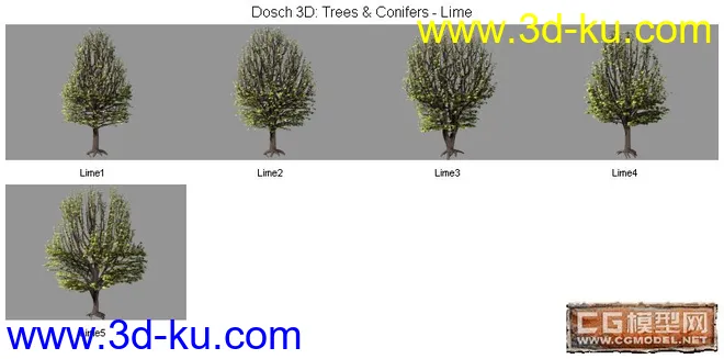 DOSCH精品树模型库(3)的图片1