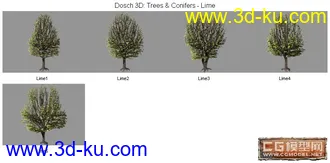 DOSCH精品树模型库(3)的图片