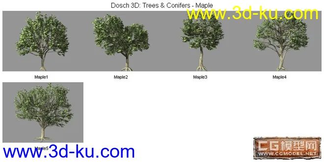 DOSCH精品树模型库(4)的图片1