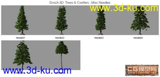 DOSCH精品树模型库(5)的图片