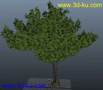 3D打印模型写实大树的图片