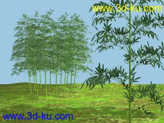 3D打印模型小竹林的图片