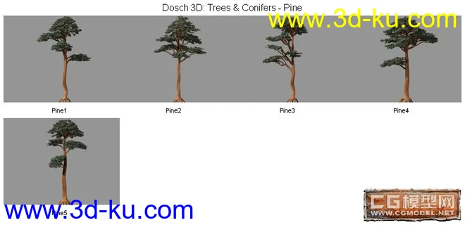 DOSCH精品树模型库(6)的图片1