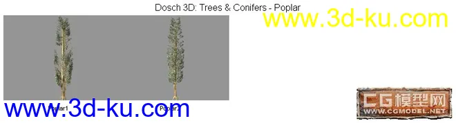 DOSCH精品树模型库(7)的图片1