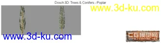 DOSCH精品树模型库(7)的图片