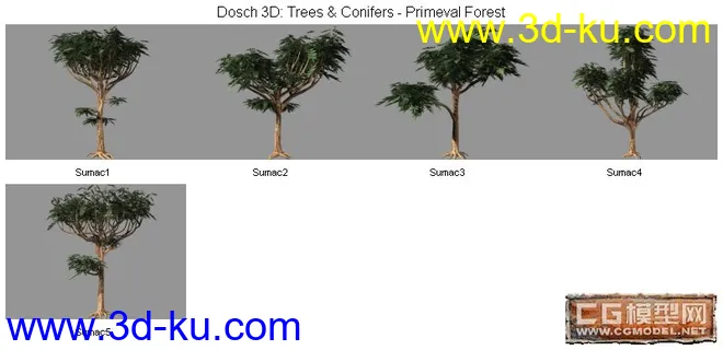 DOSCH精品树模型库(8)的图片1