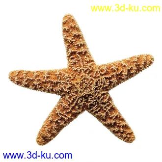 3D打印模型海星的图片