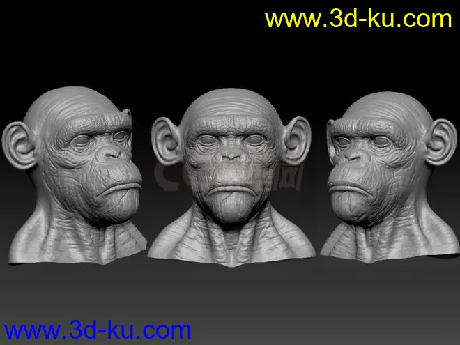 zbrush人猩雕刻模型的图片1