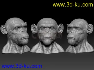 3D打印模型zbrush人猩雕刻的图片