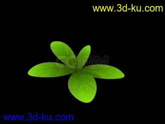 动画植物模型的图片