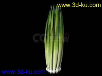 动画植物模型的图片