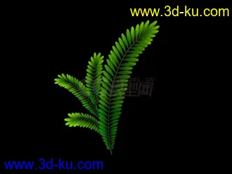 动画植物模型的图片