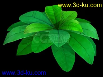动画植物模型的图片