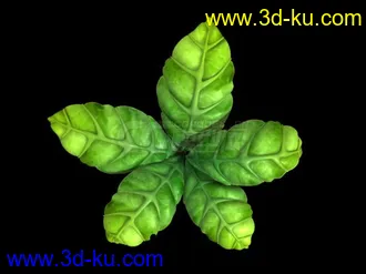 动画植物模型的图片