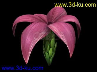 动画植物模型的图片