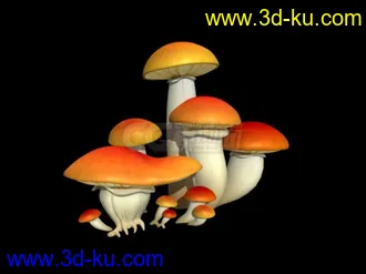 动画植物模型的图片