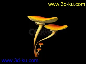 动画植物模型的图片