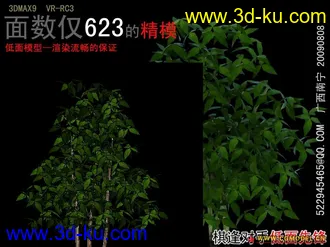 3D打印模型棋逢对手低面植物的图片