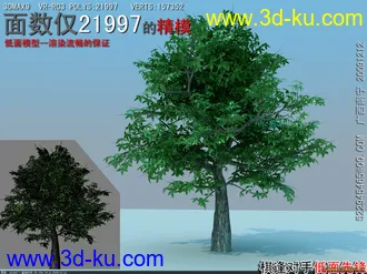 3D打印模型棋逢对手低面植物的图片