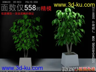 3D打印模型棋逢对手低面植物的图片