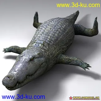 3D打印模型biohazard 5 全標準姿勢-model (沒骨架)的图片