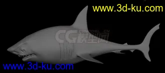 3D打印模型鲨鱼mb2013+obj，哟西~的图片