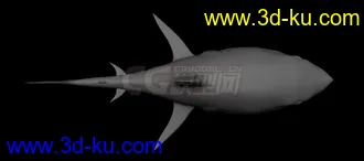 3D打印模型鲨鱼mb2013+obj，哟西~的图片
